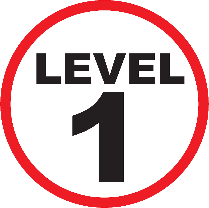 Level 1