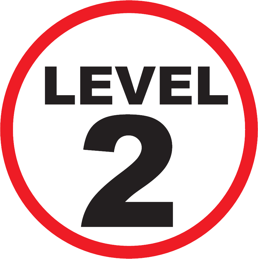 Level 2