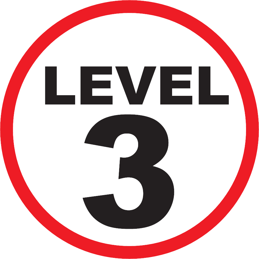 Level 3