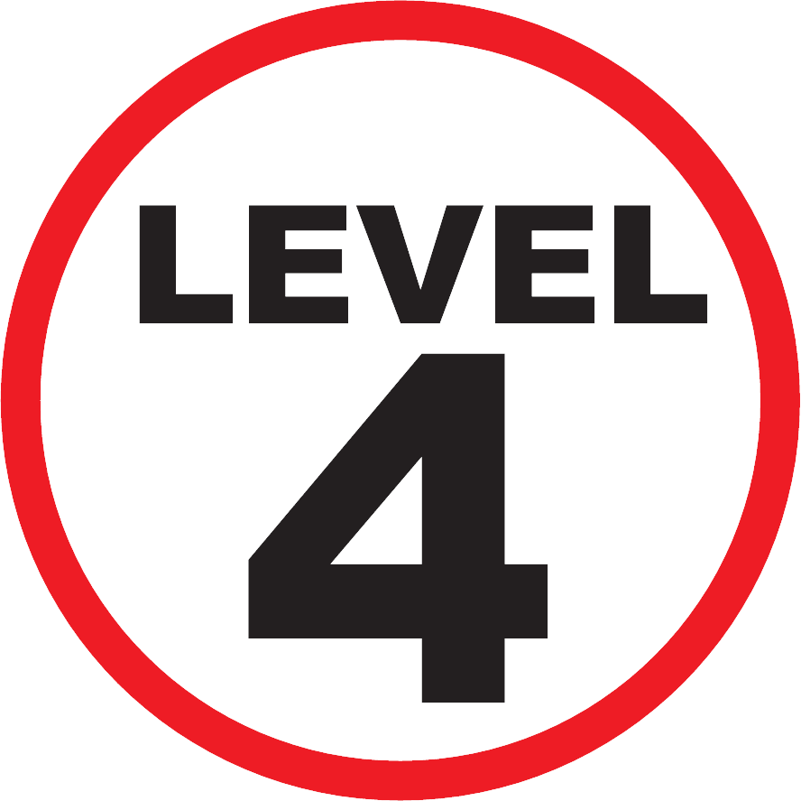 Level 4