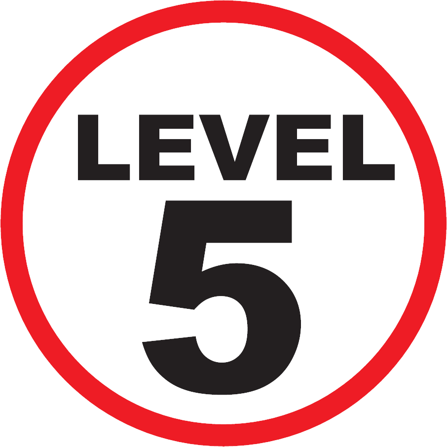 Level 5