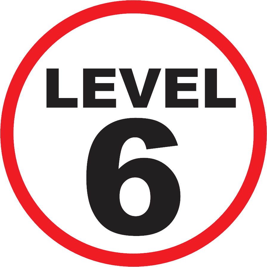 Level 6