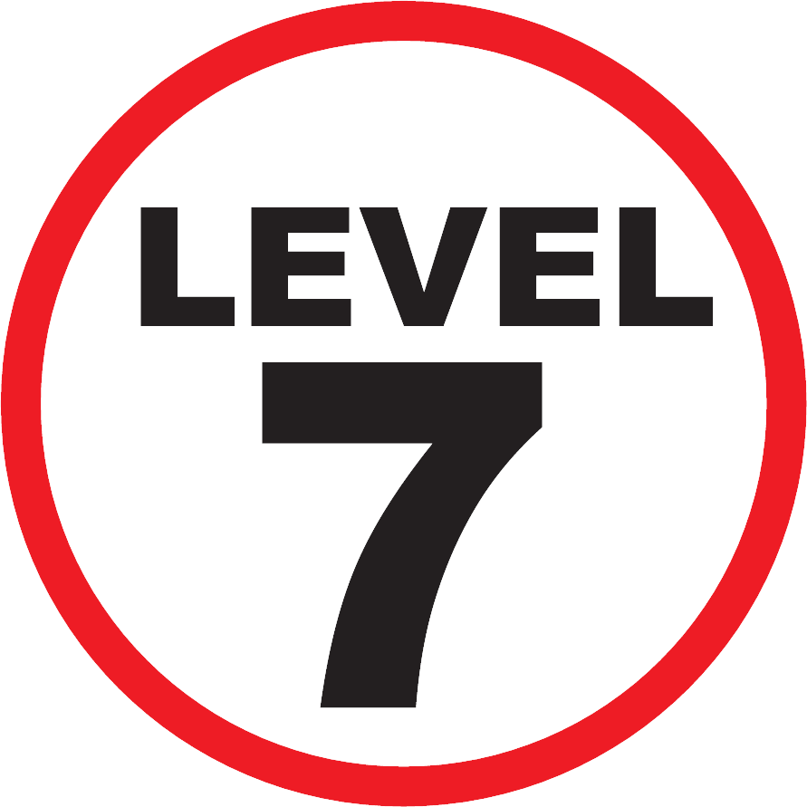 Level 7