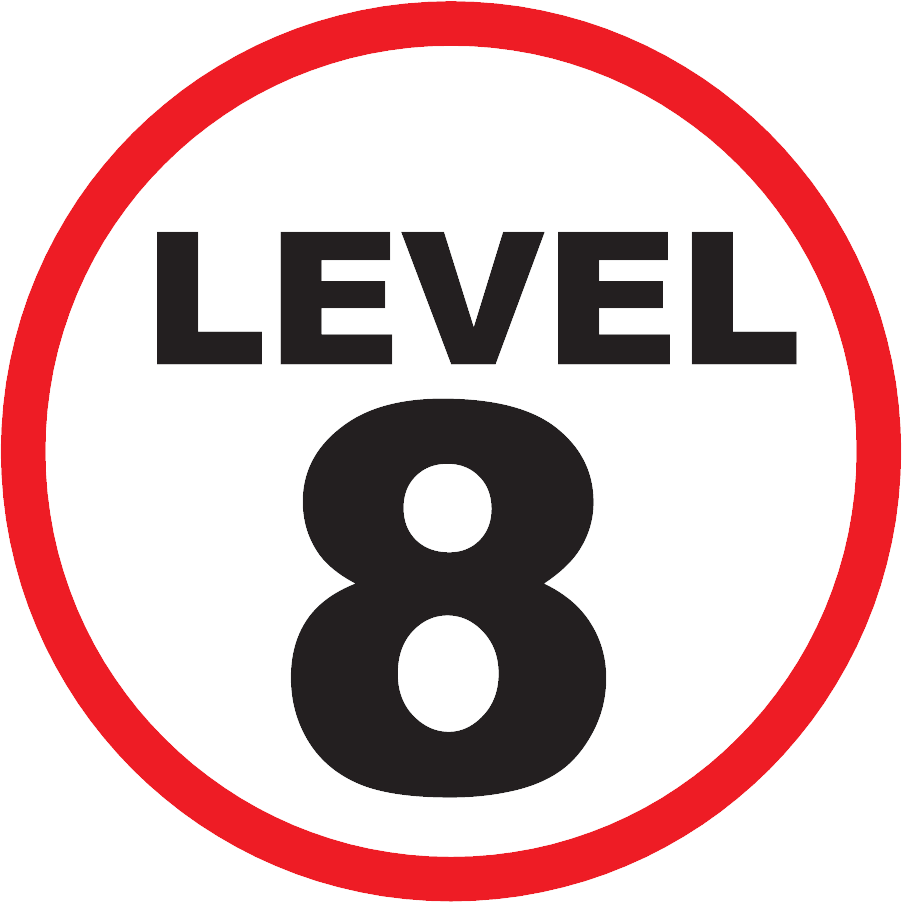 Level 8
